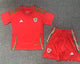 2024/25 Wales Home Youth National Teams