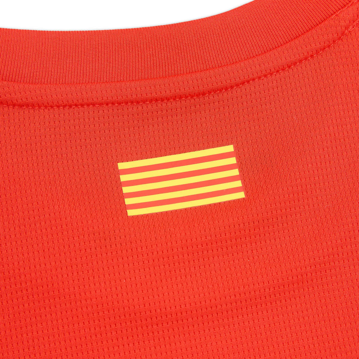 2024-25 Girona FC Home Kit