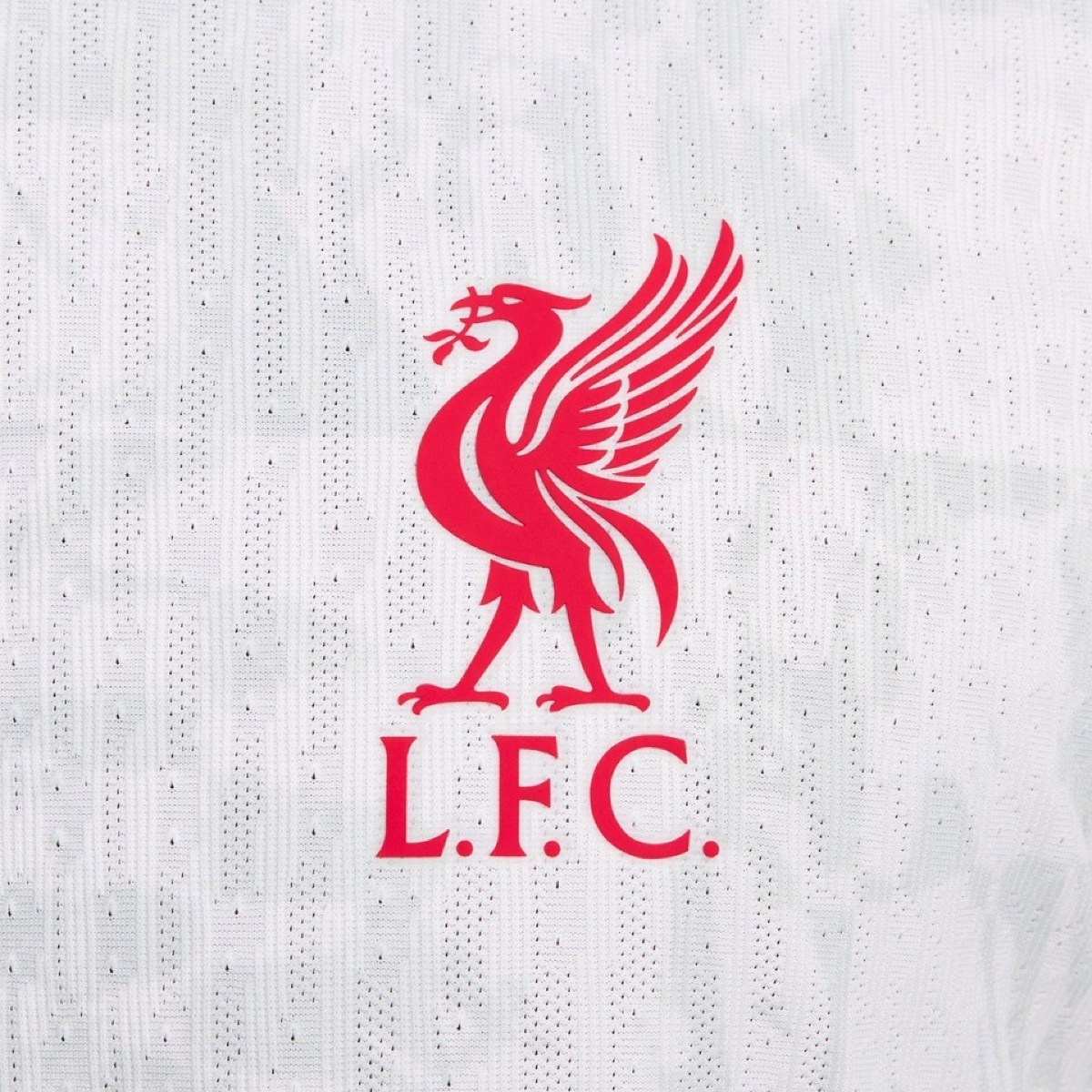 2024-25 Liverpool FC Third Kit