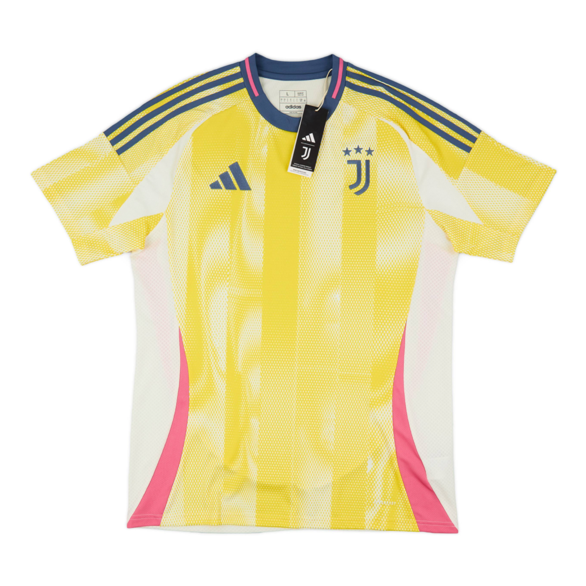 2024-25 Juventus FC Away Kit