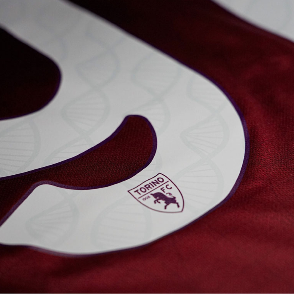 2024-25 Torino FC Home Kit