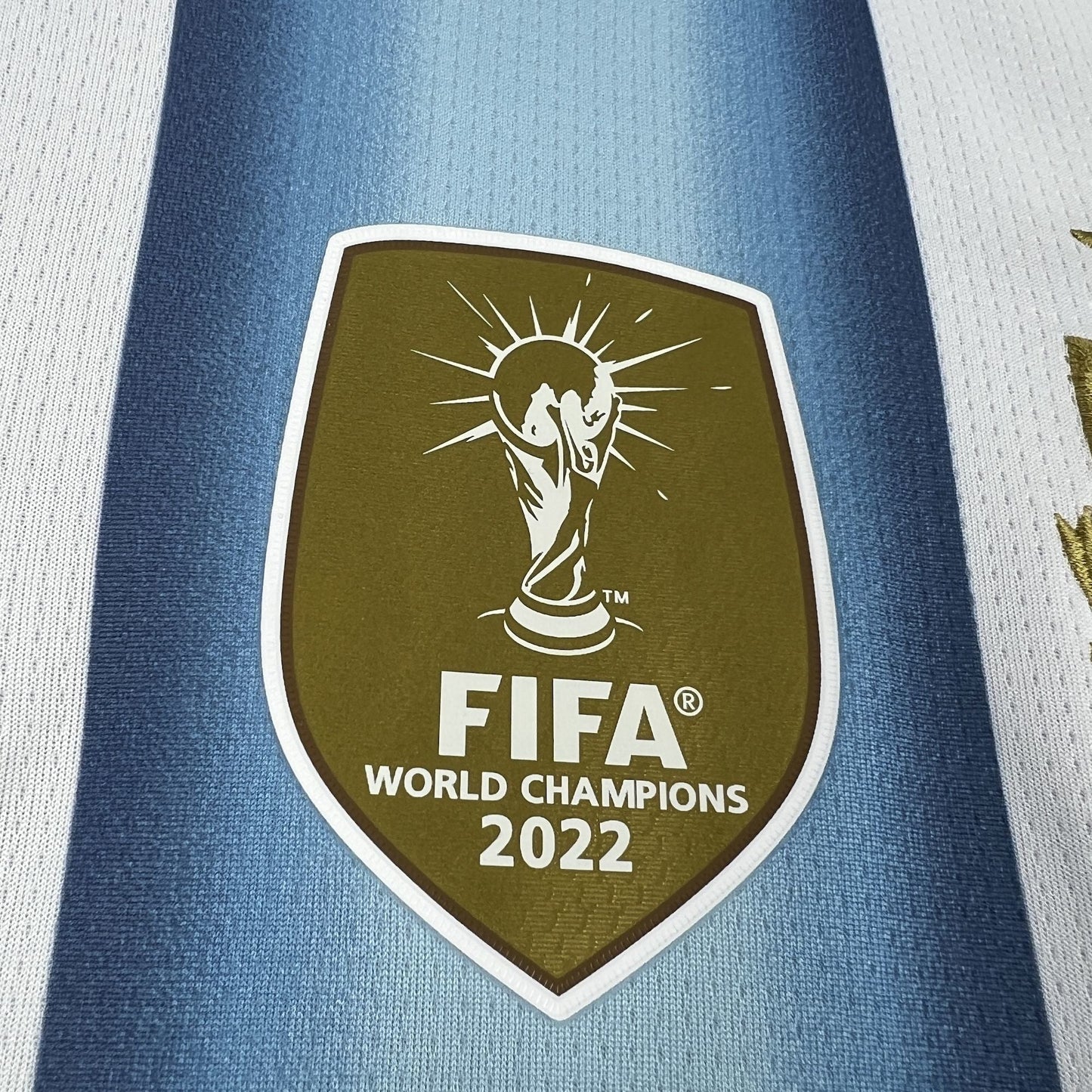 2026 Argentina Home Kit