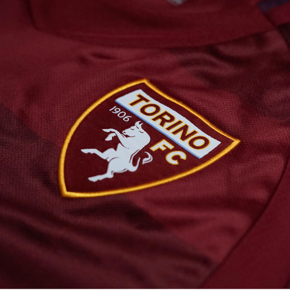 2024-25 Torino FC Home Kit