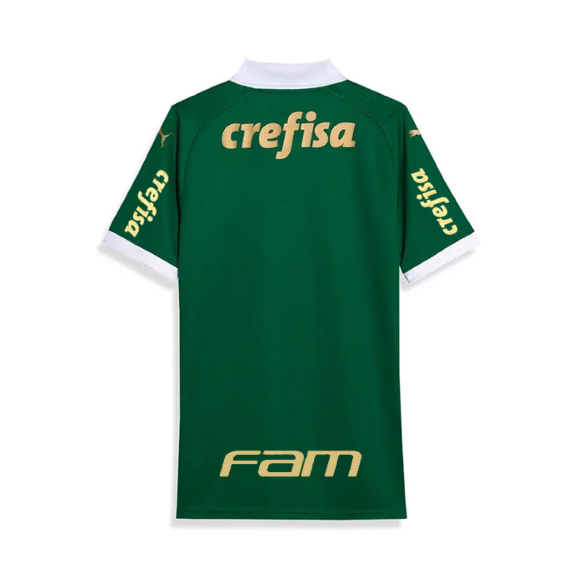 2024-25 SE Palmeiras Home Kit