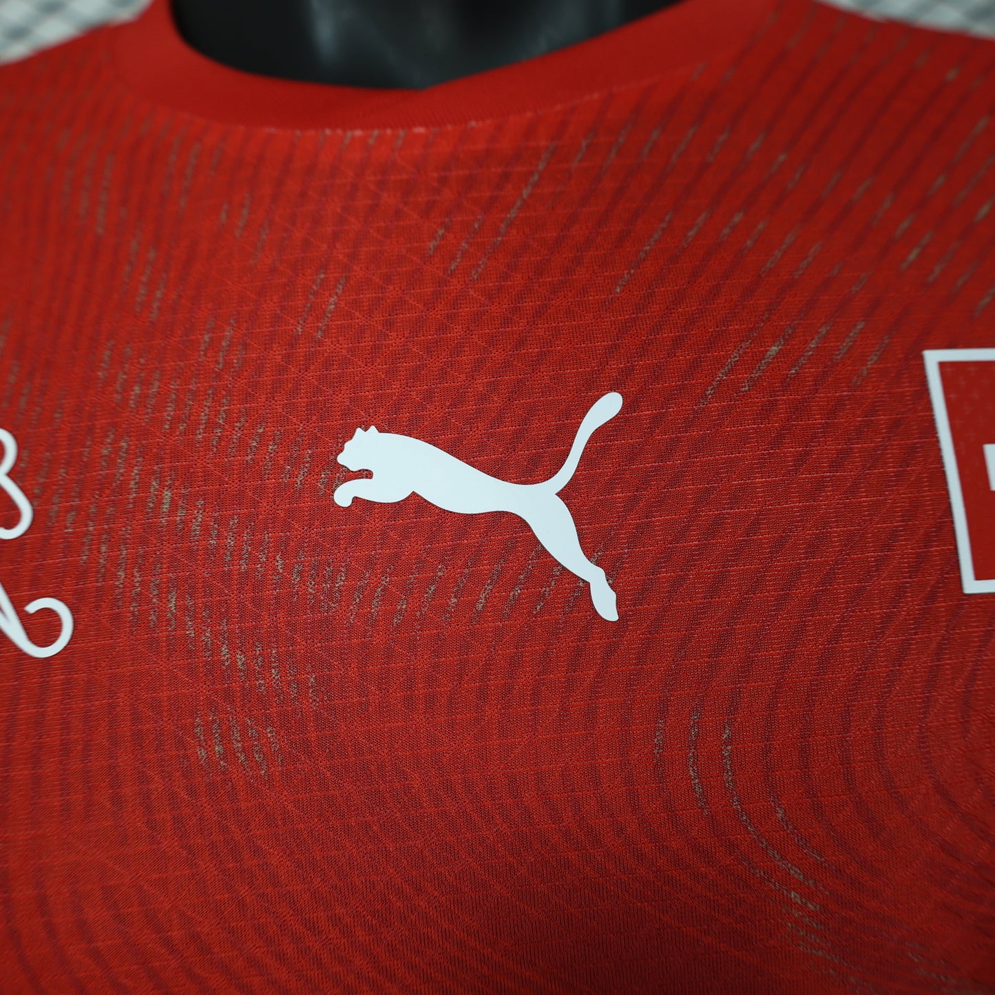 2026 Switzerland Home Kit