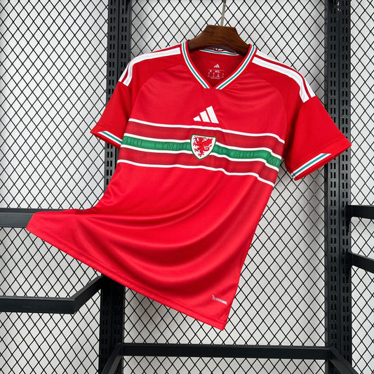 2026 Wales Home Kit