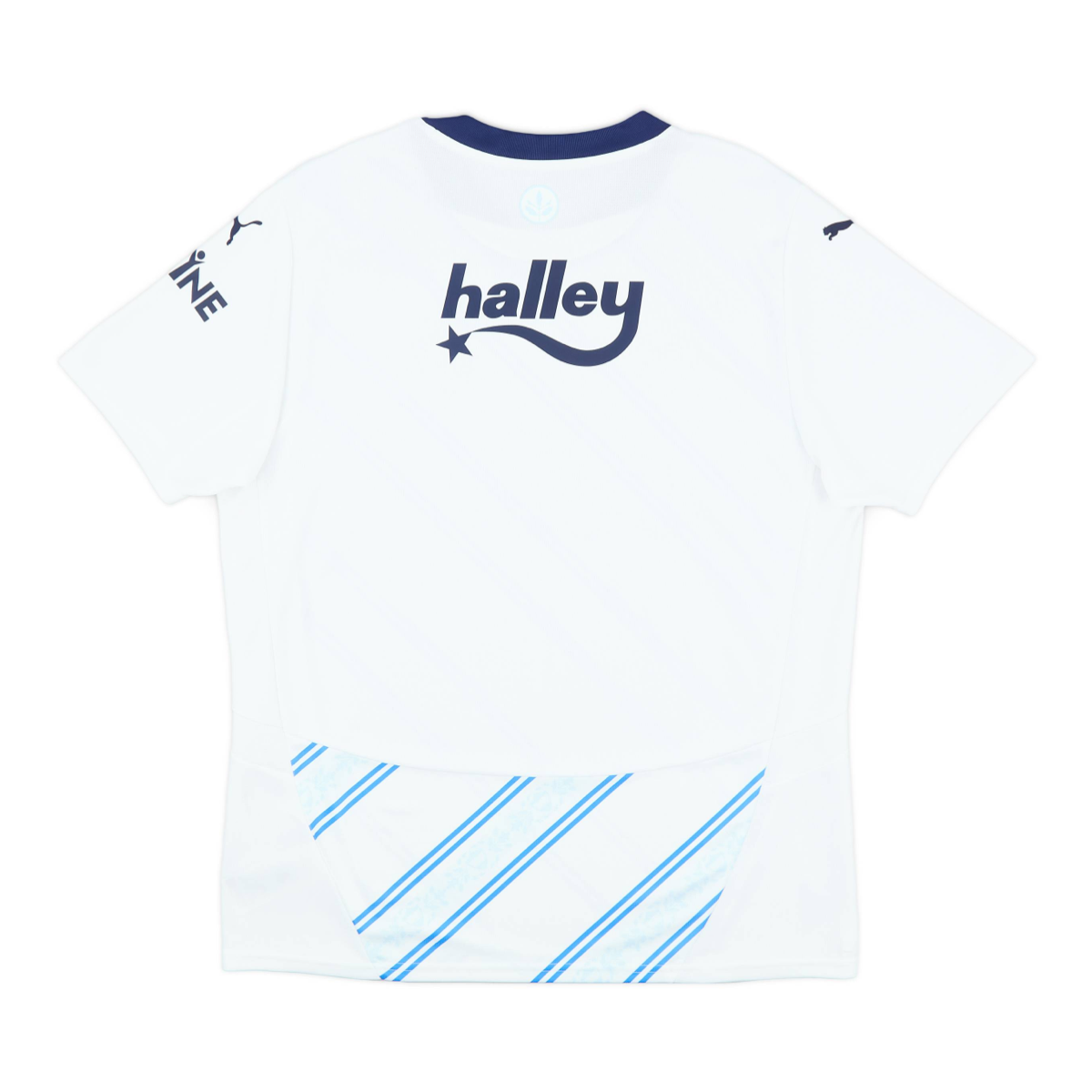 2024-25 Fenerbahçe SK Away Kit