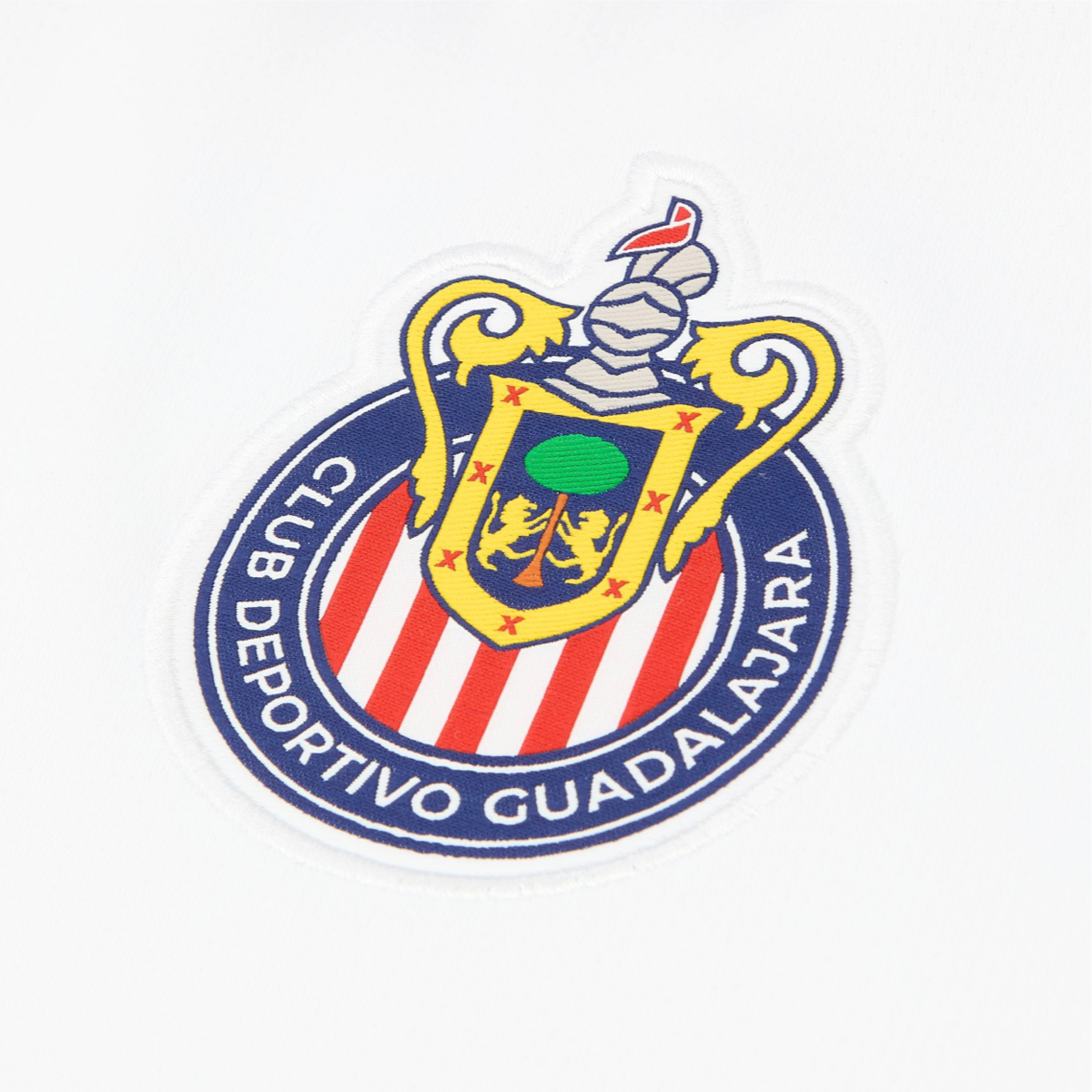 2024-25 CD Guadalajara Away Kit