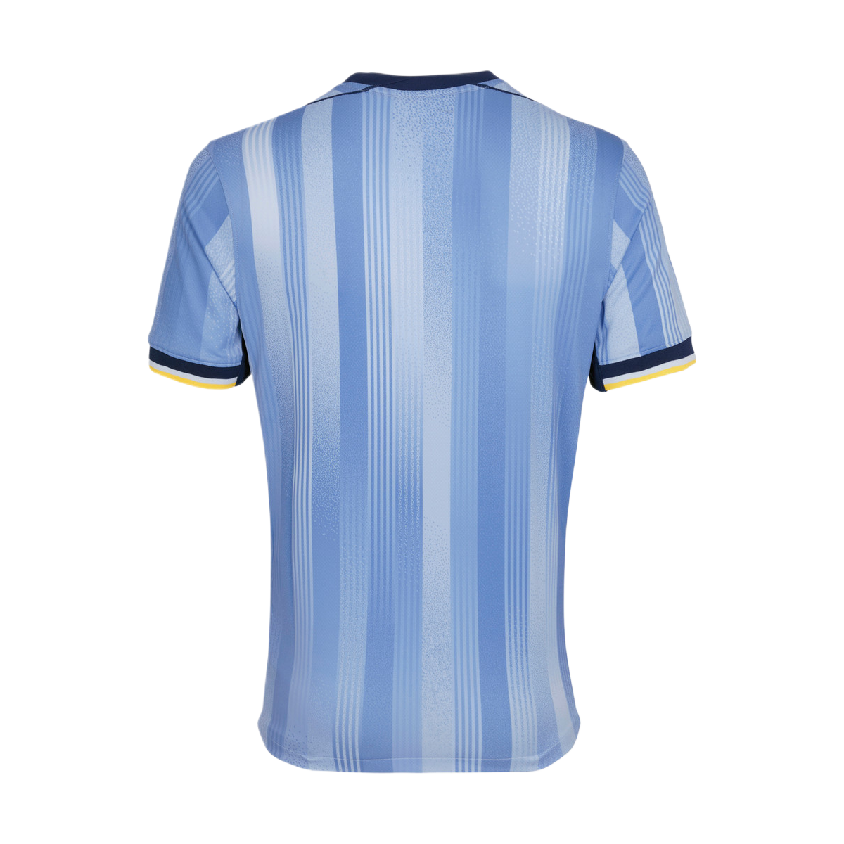 2024-25 Tottenham Hotspur FC Away Kit