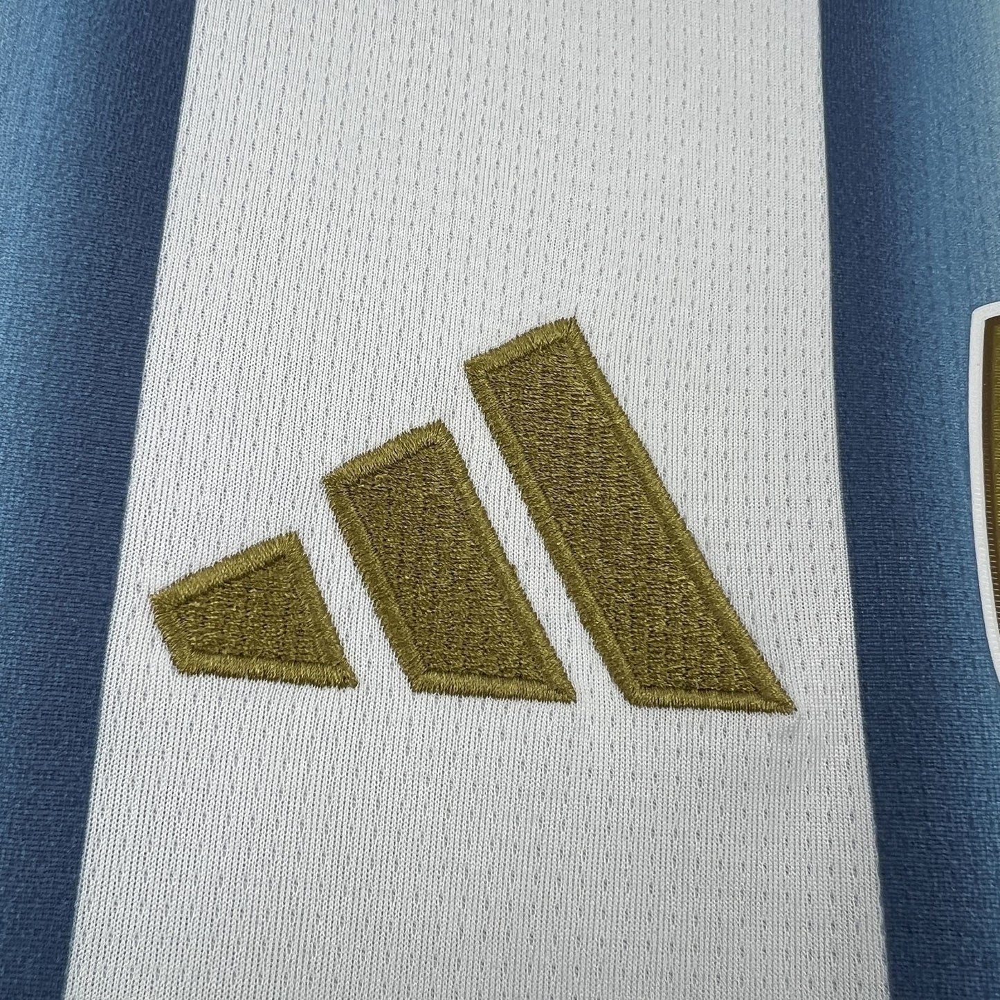 2026 Argentina Home Kit