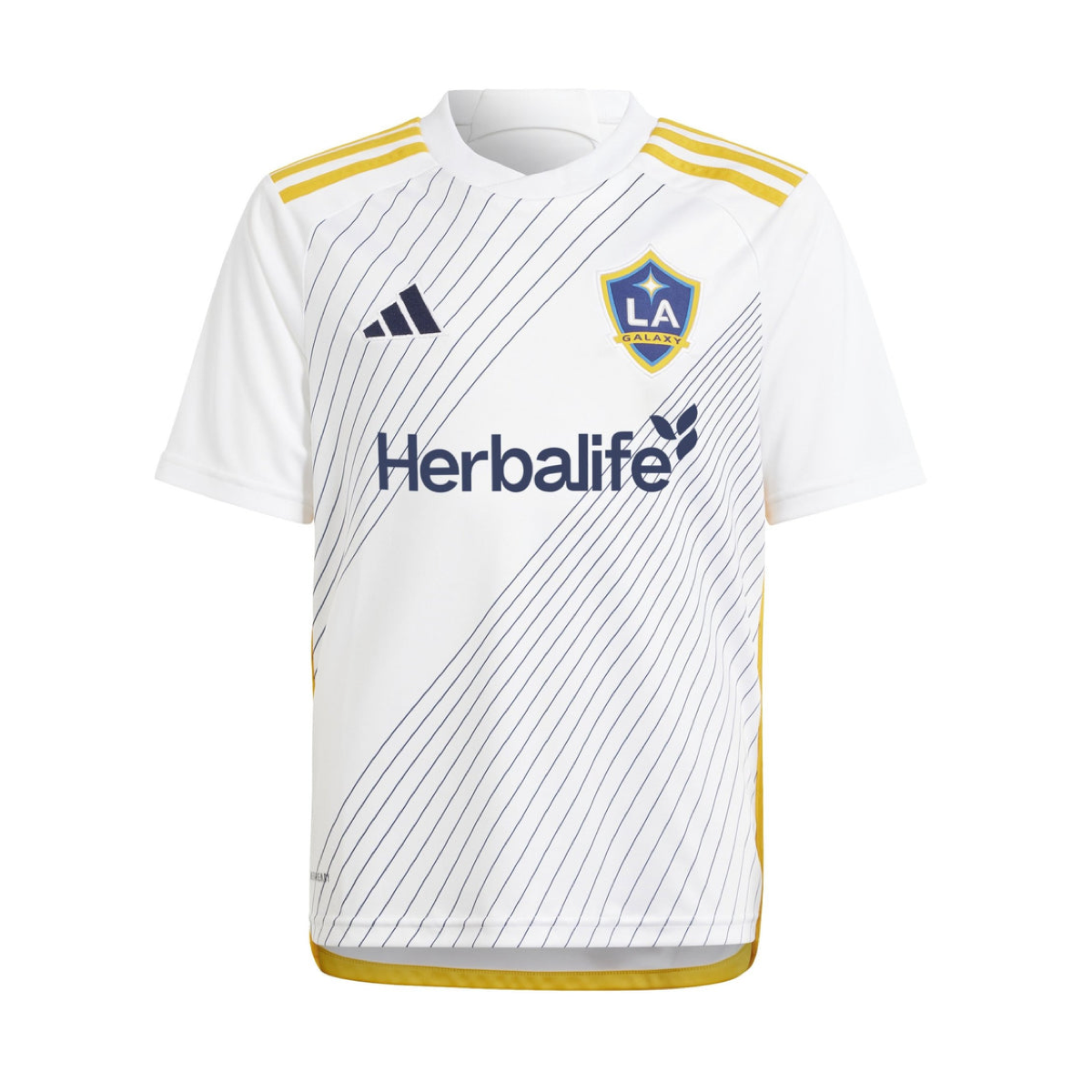 2024-25 LA Galaxy Home Kit