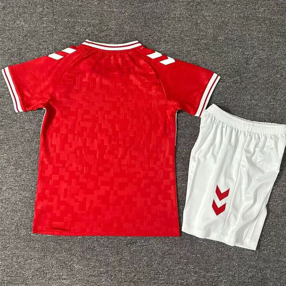2024/25 Denmark Home Youth National Teams