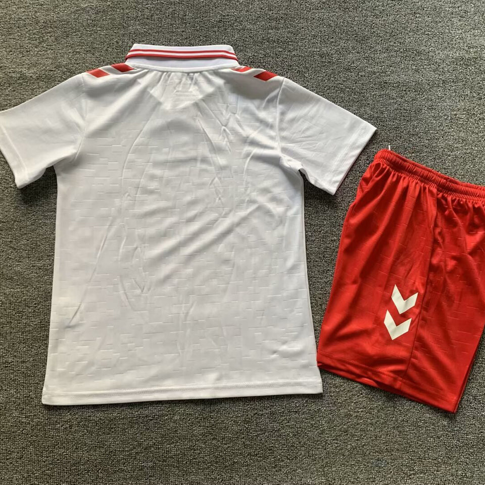 2024/25 Denmark Away Youth National Teams