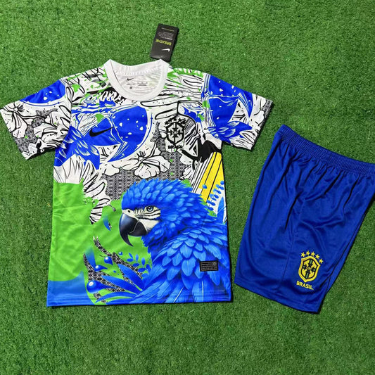 2025/26 Brazil Special Children's National Teams